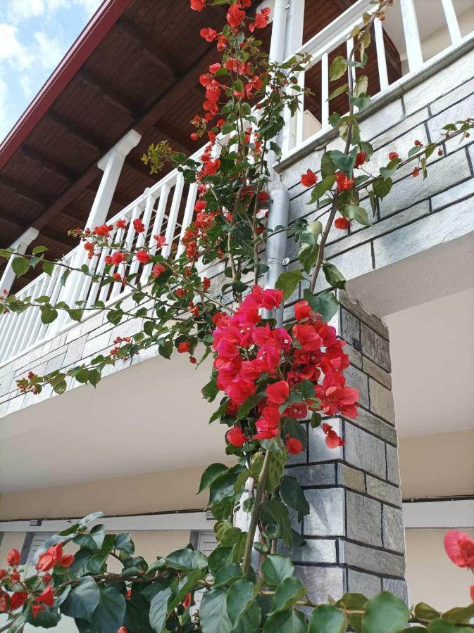 Bella Terra Nature Living Ασπροβάλτα Εξωτερικό φωτογραφία